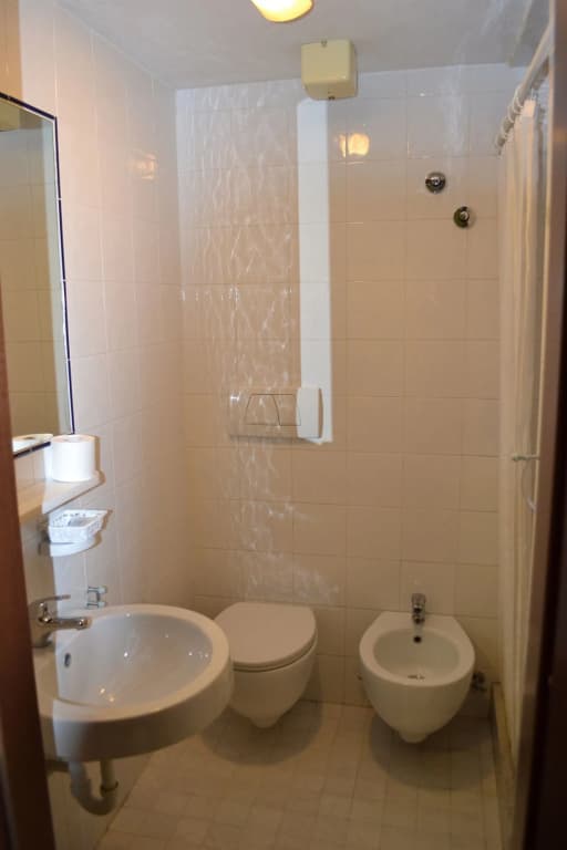 Hotel Ferrarese Roma - photo 8