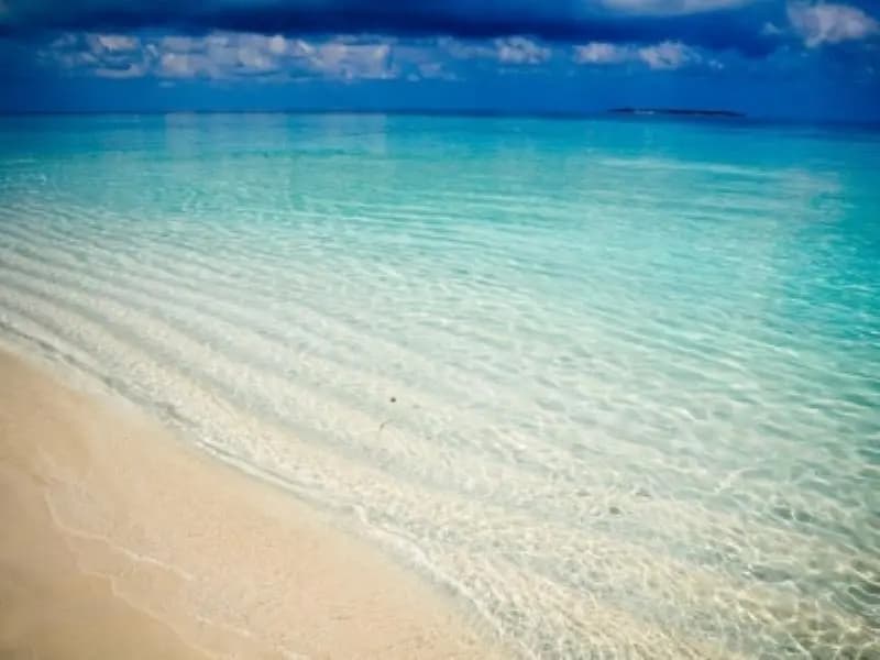 Velidhu Island Resort - photo 16