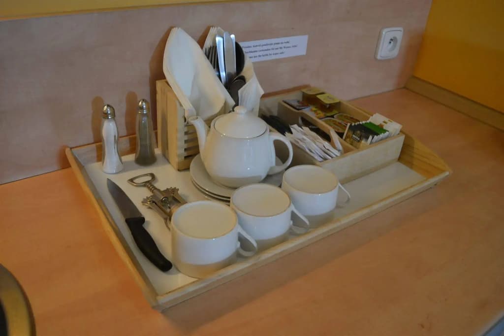 Aparthotel Austria Suites - photo 14