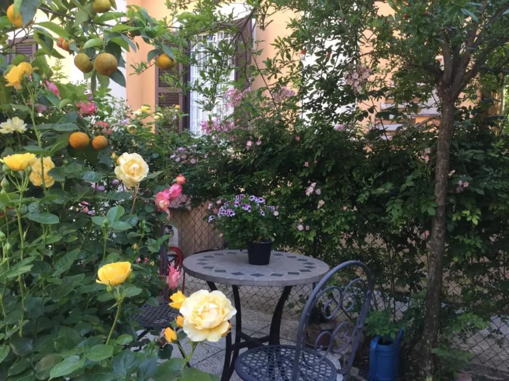Gianicolo Penny's Garden - photo 8