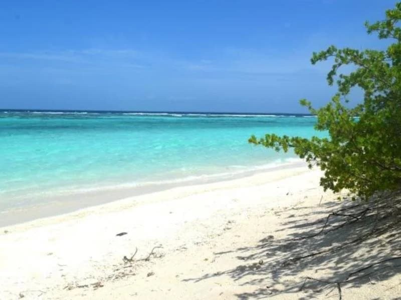 Varuvaa Boutique - photo 9