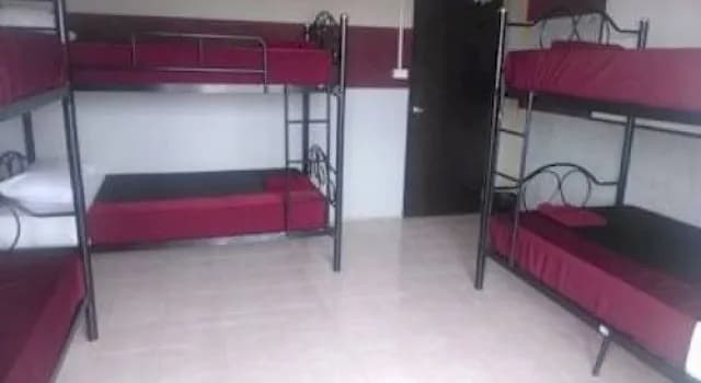 Backpacker Hostel - photo 4