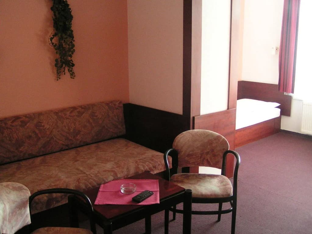 Hotel Jerabek - photo 6