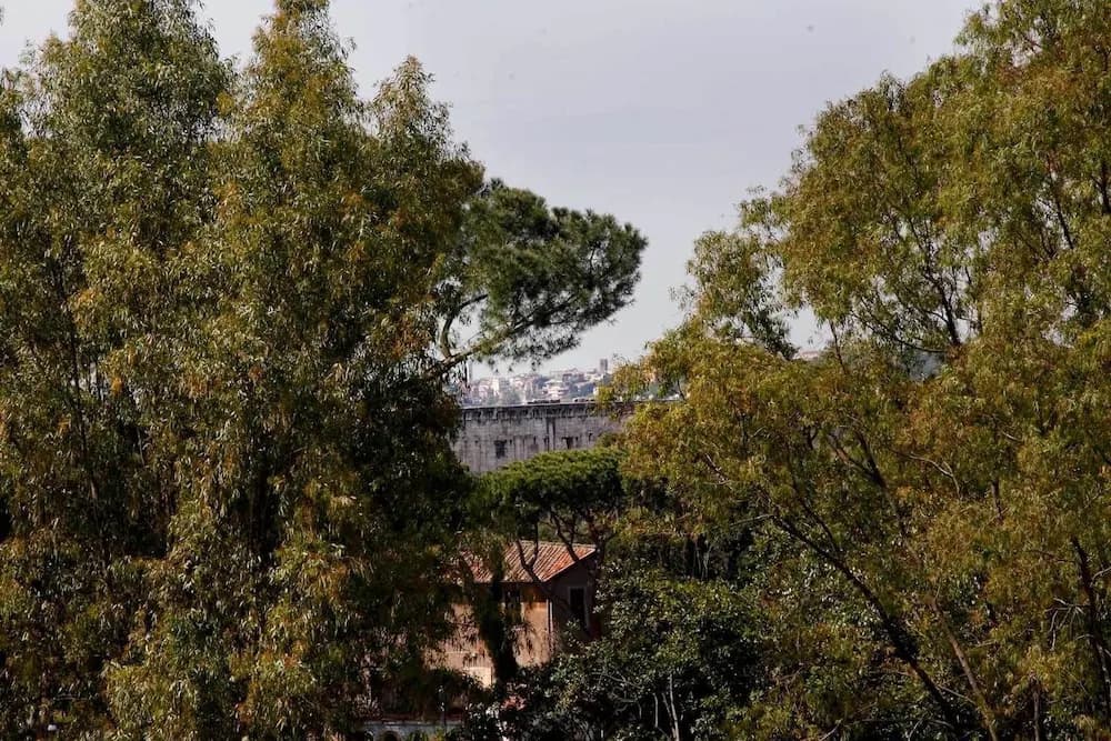 Clemy In Rome - photo 11