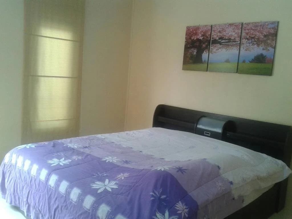 Back-Budget Hostel - photo 2