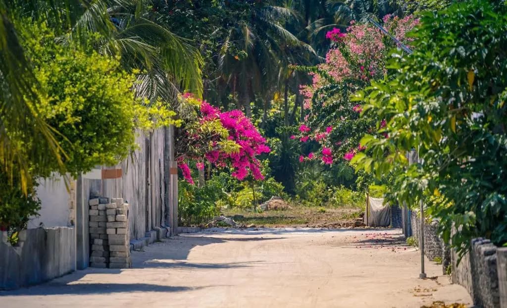 Fehendhoo Stay - photo 7