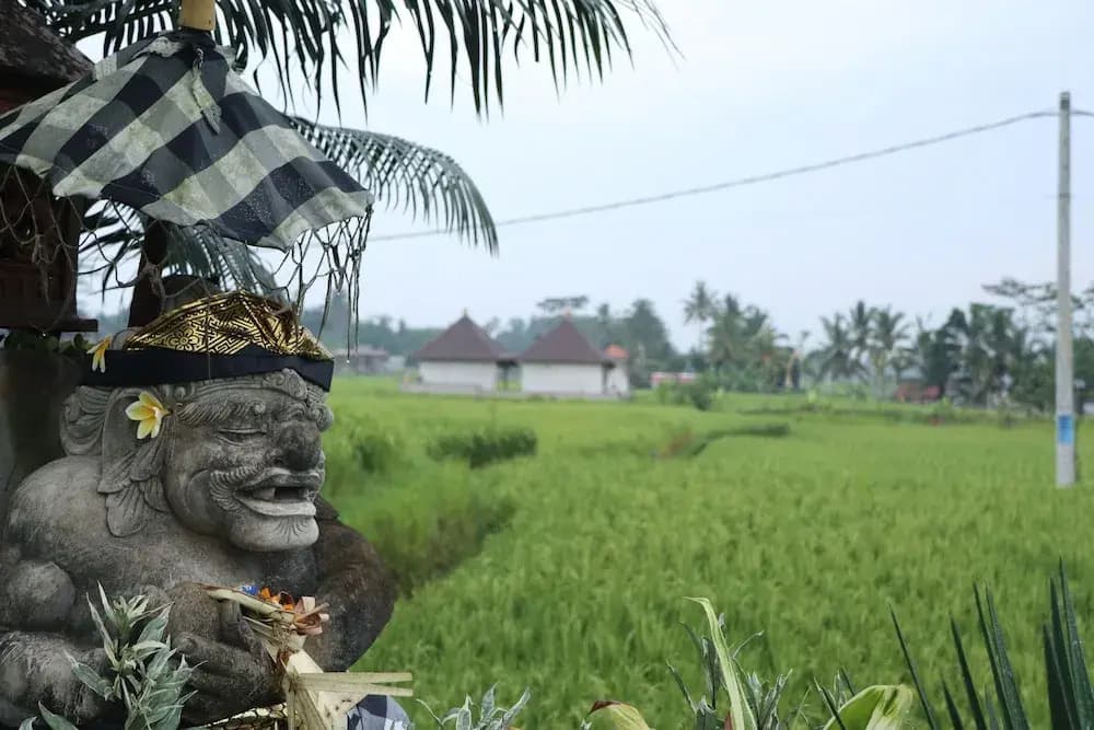 Royal JJ Ubud Resort & Spa - photo 31