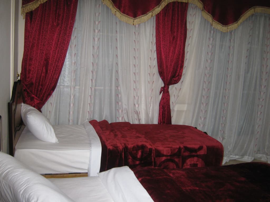 Alexander - photo 2