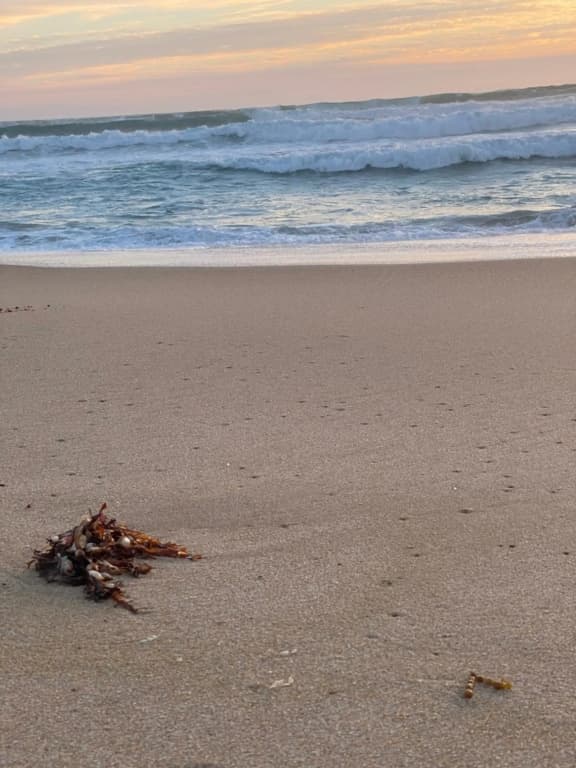 Beach Haven on Teal - photo 11
