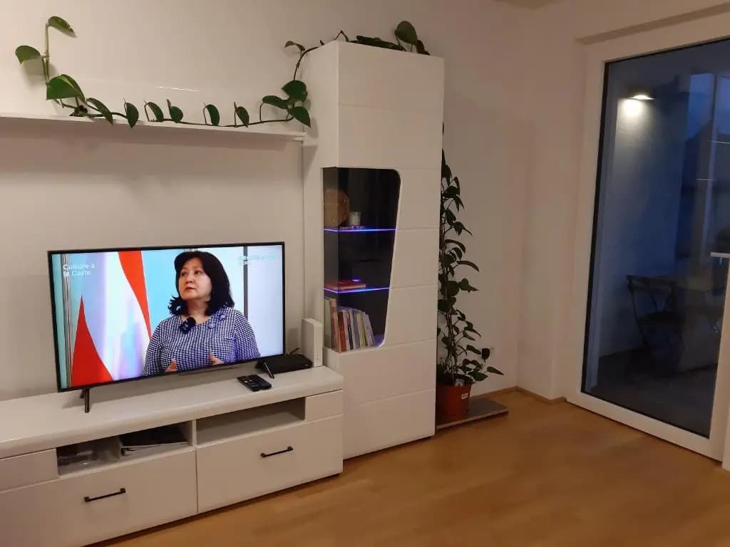 Vienna Lion Apartment - photo 11