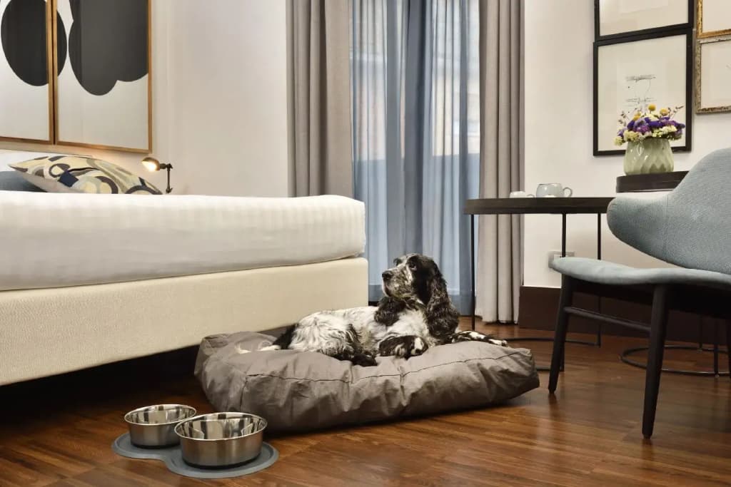 Hotel Pulitzer Roma - photo 36
