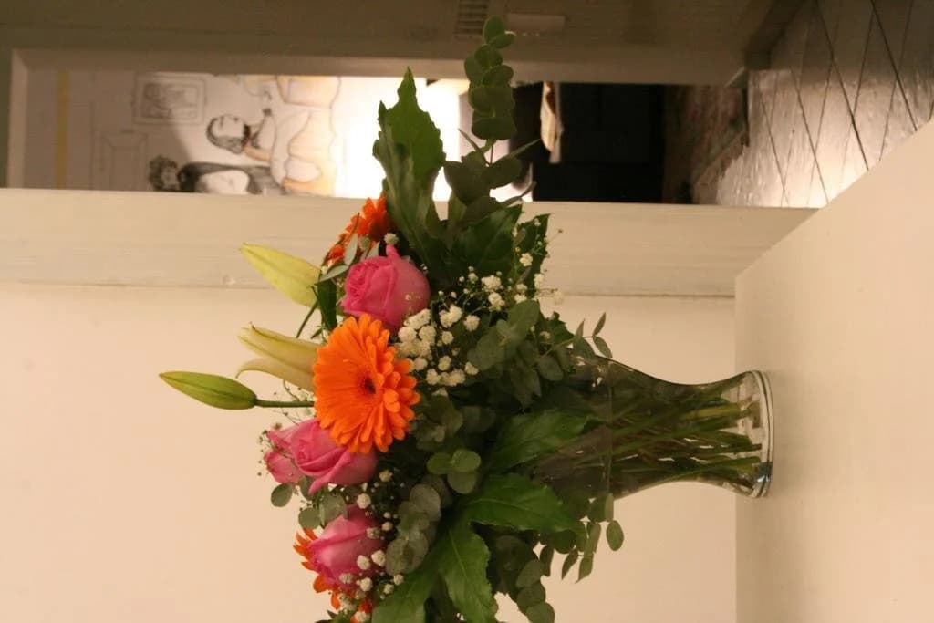 Claudia Rooms - photo 11