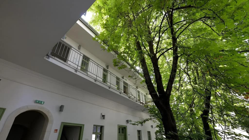 The Hive Party Hostel - photo 20