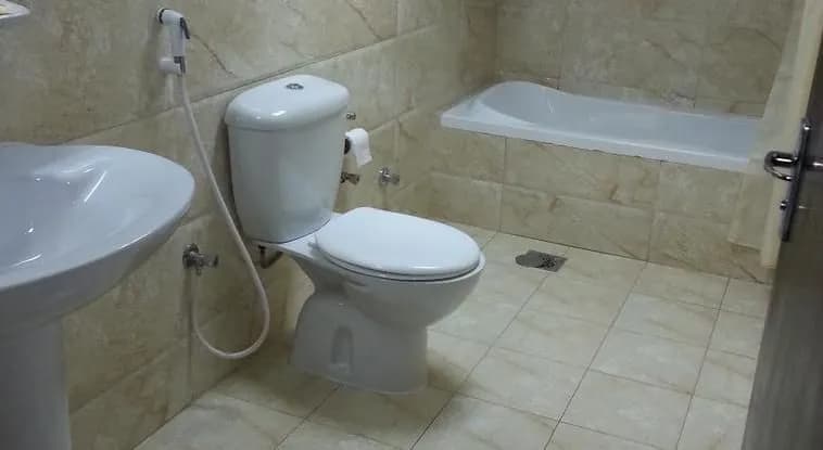 Dolphin Hotel - photo 8