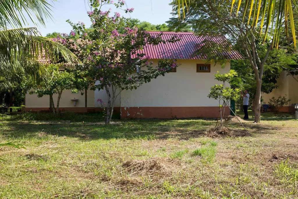 Spring Garden Homestay - photo 7