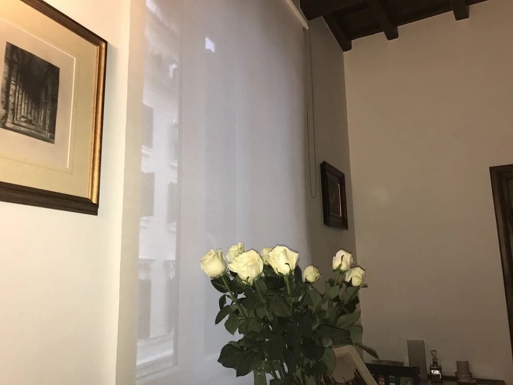 Casa Maximo Vatican San Pietro - photo 2