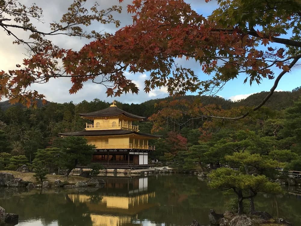 JAPANING HOTEL Gozen - photo 14