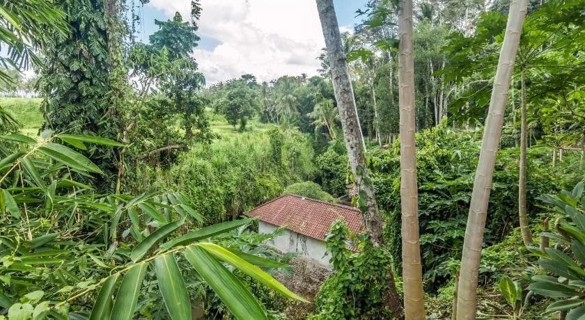 guest house lasan mas - photo 11