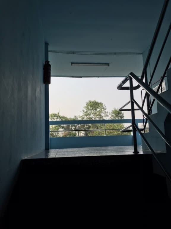 The Thana House - photo 13
