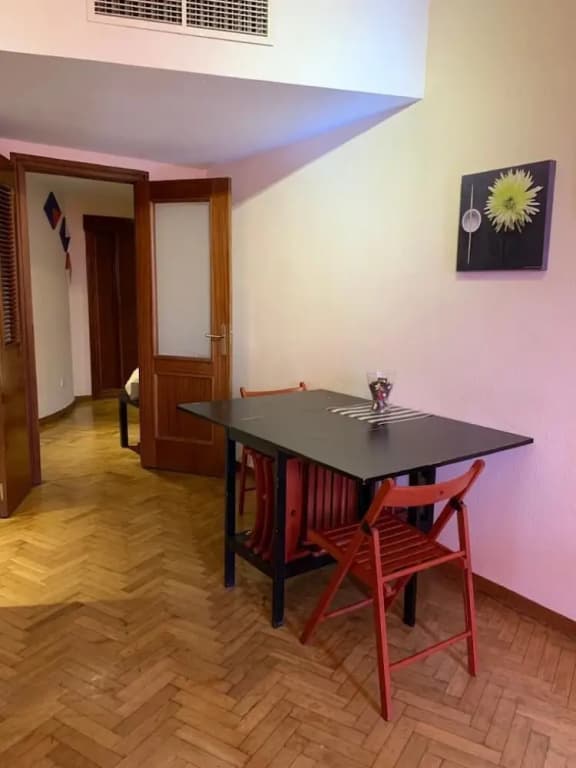 Santo Domingo Apartment Madrid - photo 6