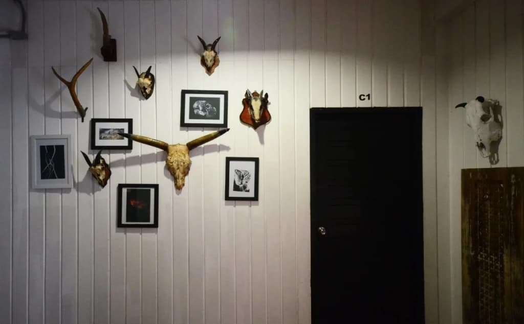 Buff Hostel - photo 15