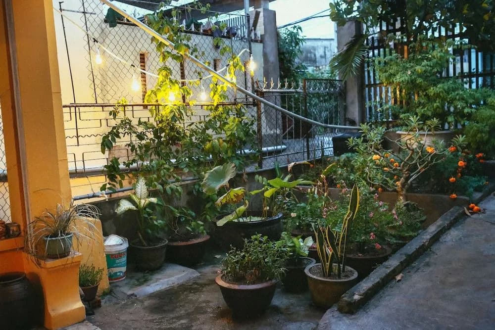 Herb's House - photo 9