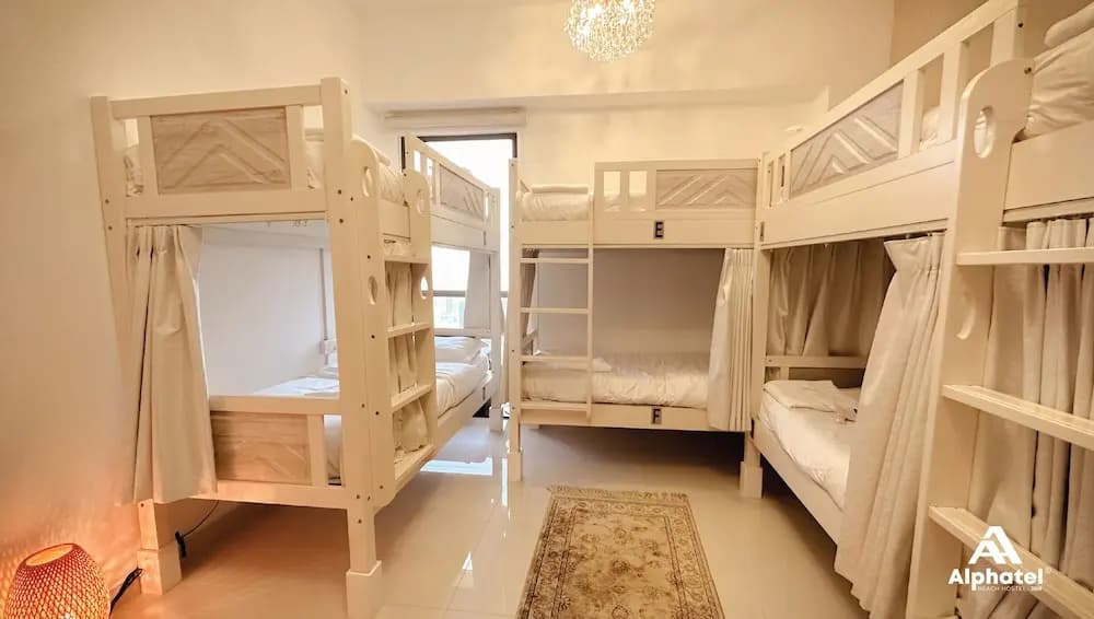 Alphatel Beach Hostel JBR - photo 4