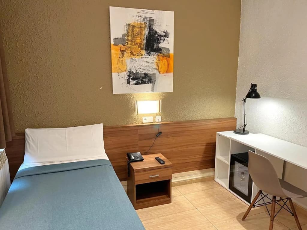 Aneto Hotel - photo 5