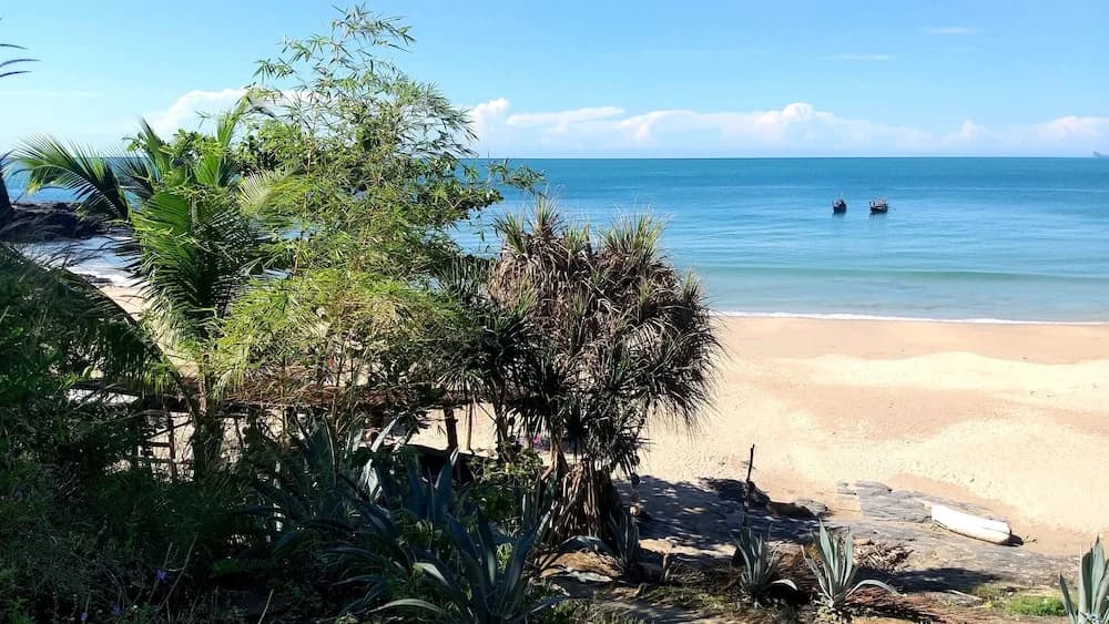 Cashewnut Tree Resort - photo 13