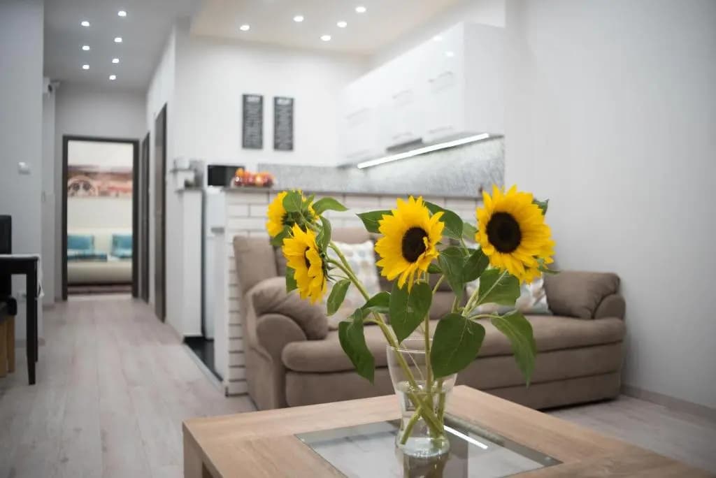 Gerda Apartment - photo 15