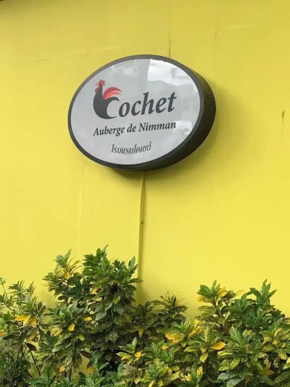 Cochet - photo 34