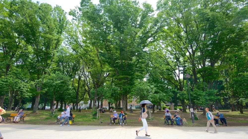 Villa Ikebukuro Altair - photo 46