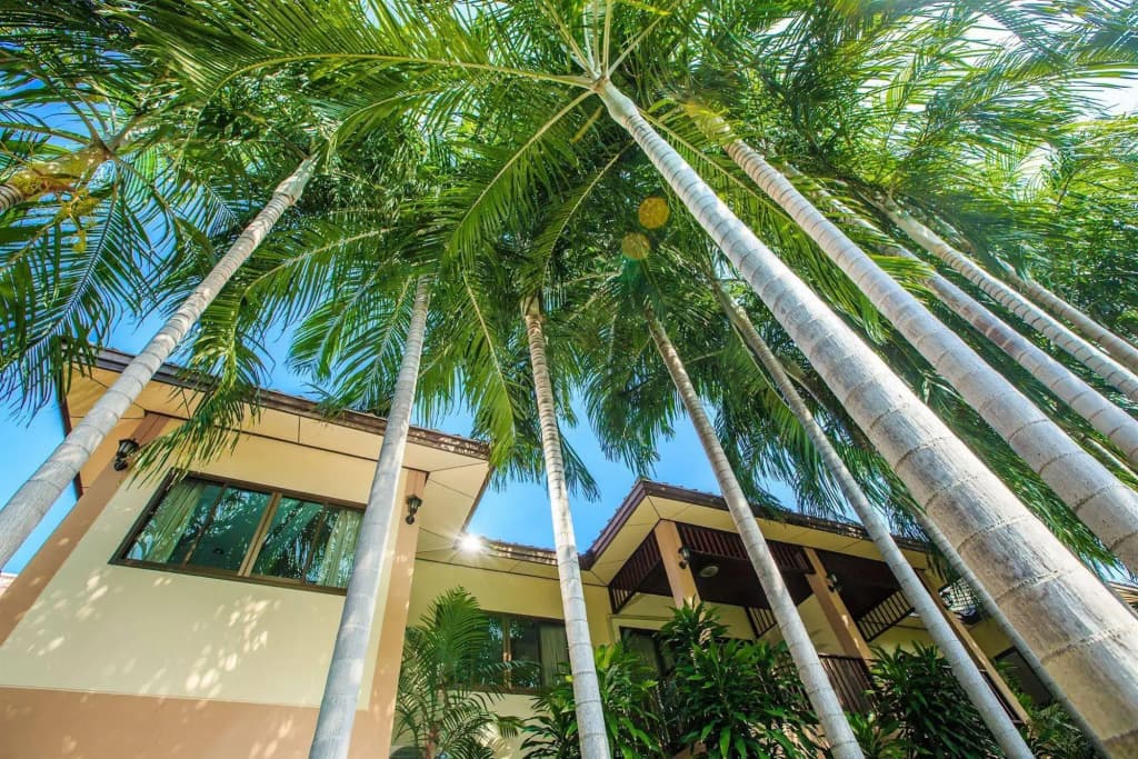 Meewaya Hotel - photo 17