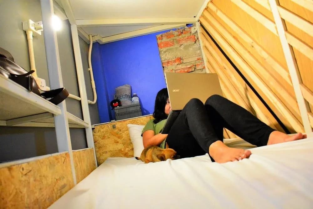 12month Hostel - photo 14