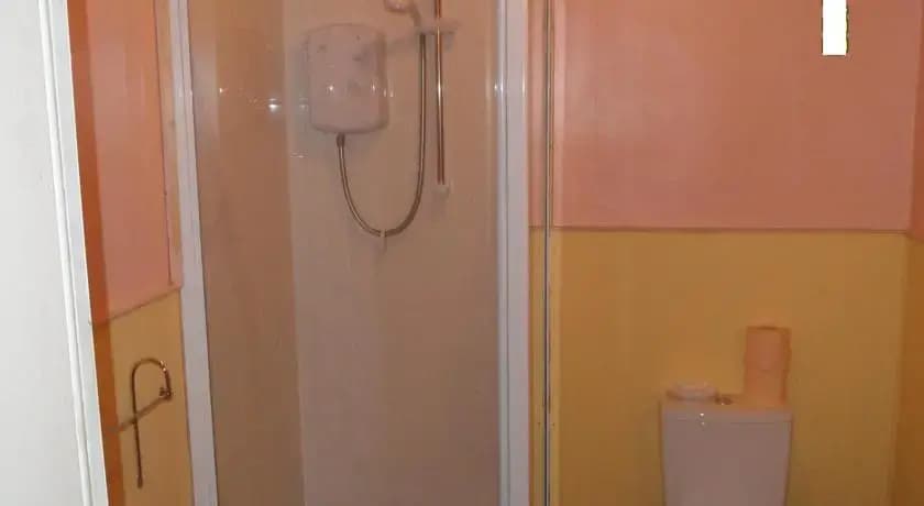 Ivy Guest House - photo 6