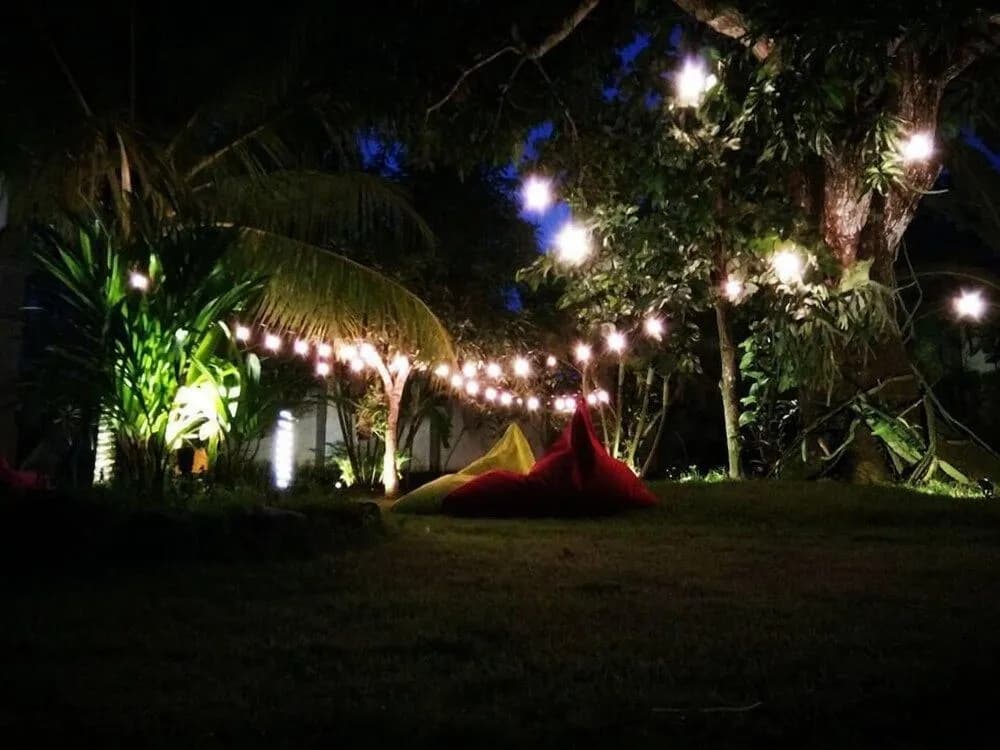 Freedom Hostel - photo 9
