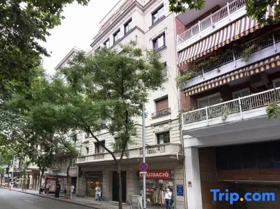Apartment Mirland - photo 2
