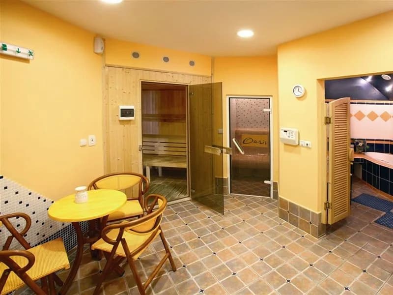 Apartments Wenceslas Square - photo 8
