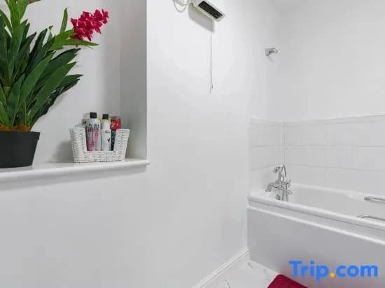 2-BR London Oasis in Woolwich - photo 3