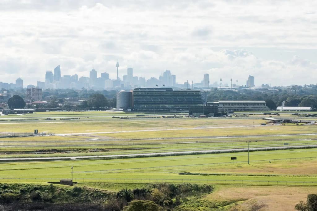 Randwick Space Hotel - photo 19