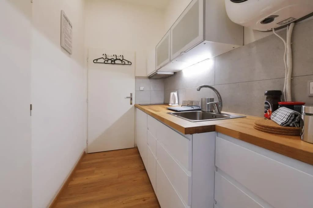 Duplex Apartment - photo 15