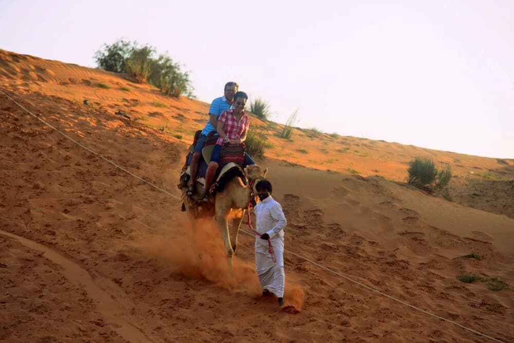 Bedouin Oasis Camp - photo 24