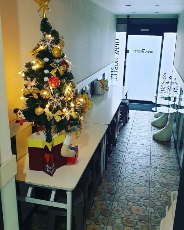 Oppa Hostel - photo 31
