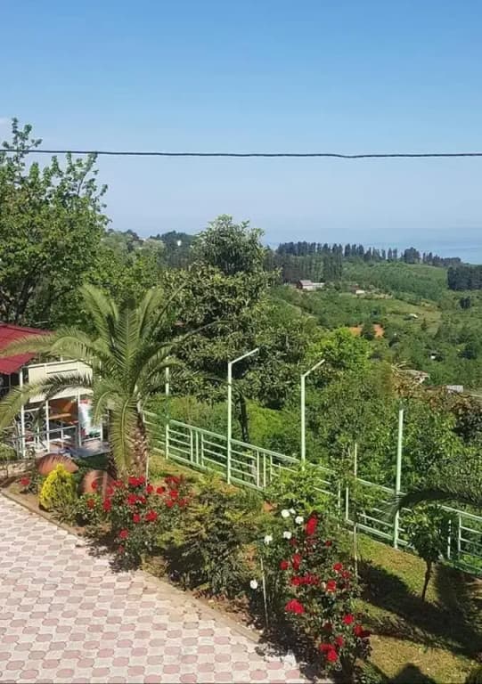 Hostel Nino - photo 10