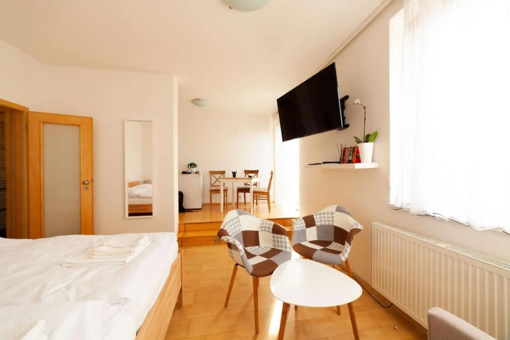 Vitkov Park Apartment - photo 21