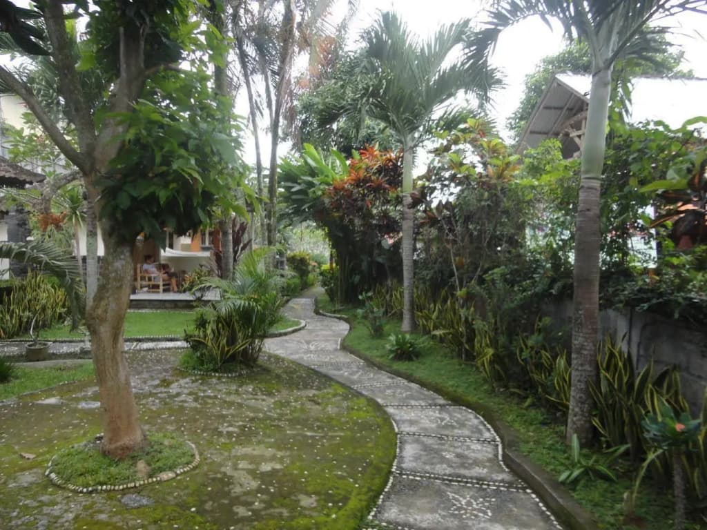 Detri Inn - photo 13