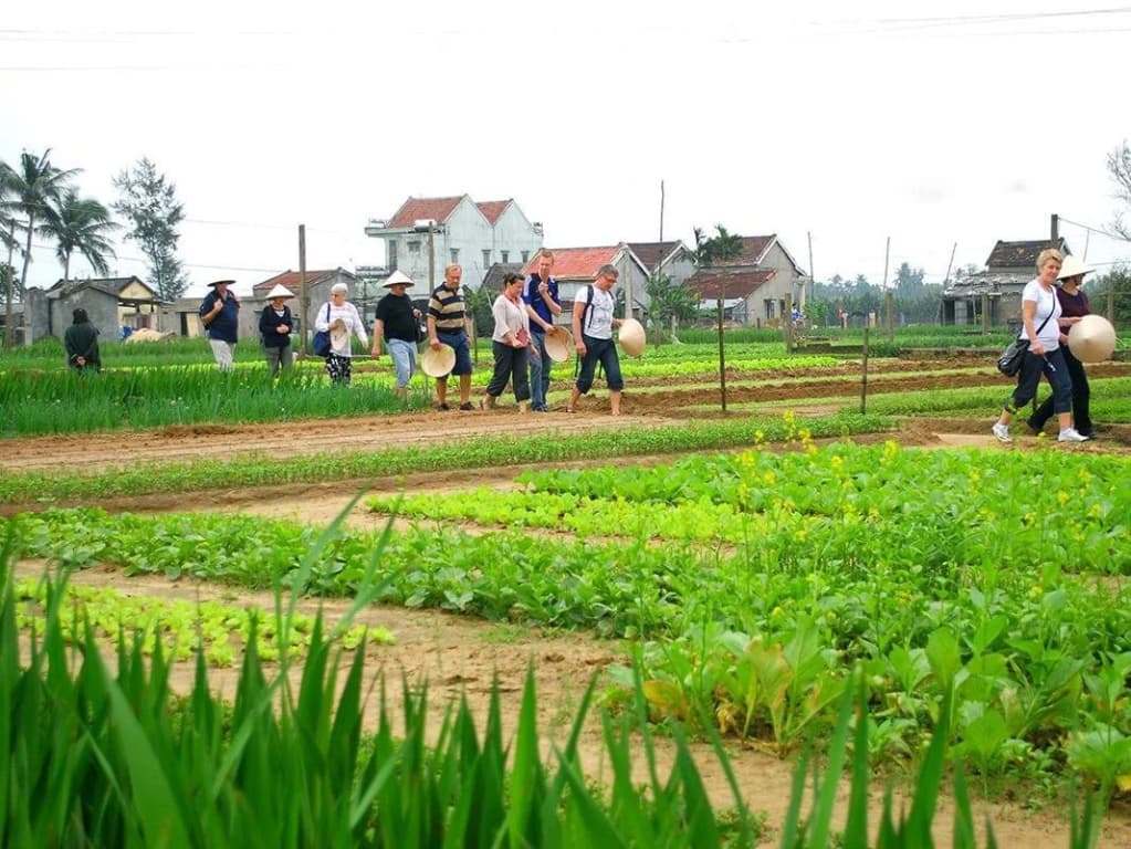 Green House Homestay - photo 15