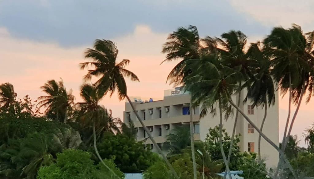 Season Paradise - main photo