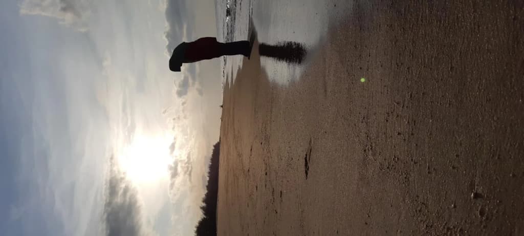 Kembara Resort - photo 12