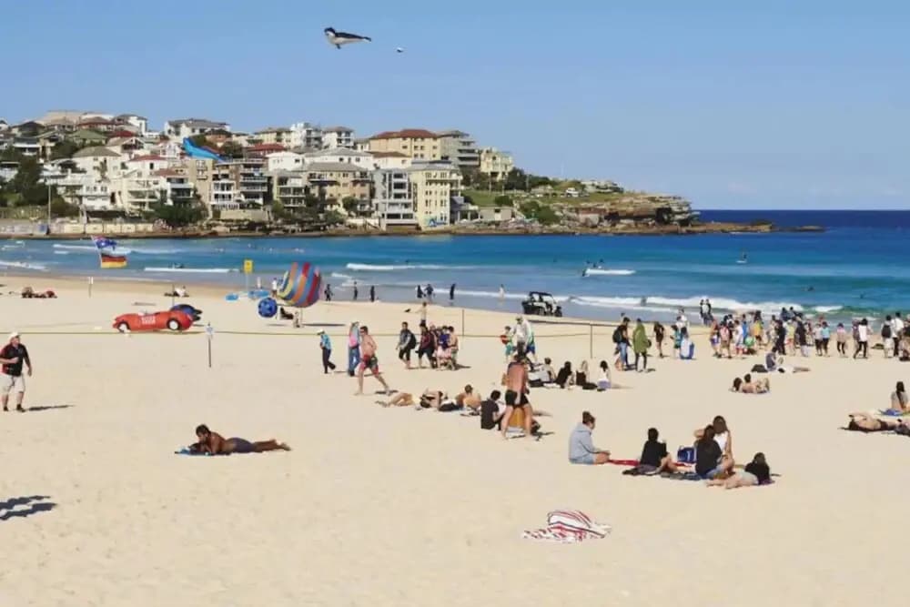 Bellevue Hill Abode Near Bondi Beach - photo 10